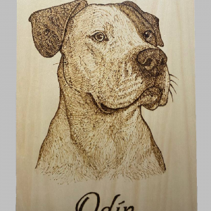 Cuadro mascota pirograbado (Personalizado)