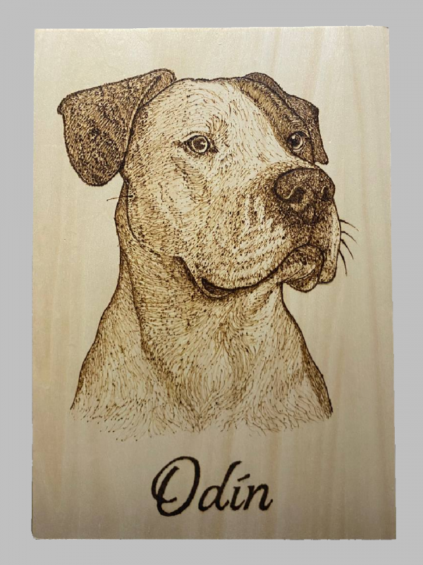 Cuadro mascota pirograbado (Personalizado)